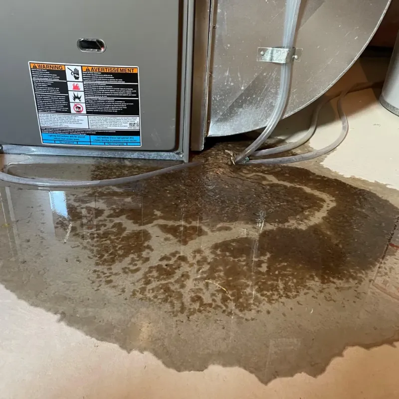 Appliance Leak Cleanup in Pilot Mountain, NC